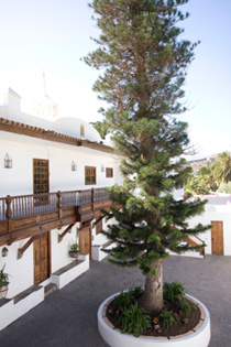 Cortijo San Ignacio patio