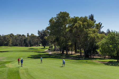 Penina Golf Hotel has 36 holes of golf on site