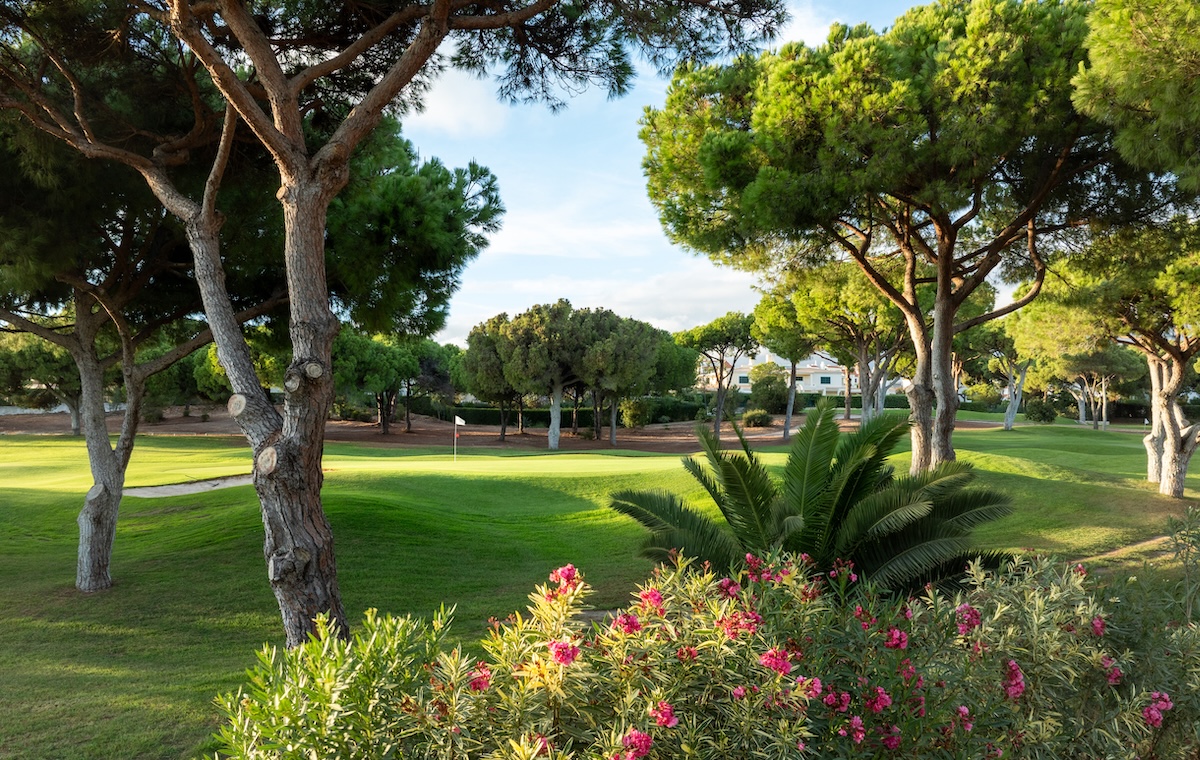 Green on Pinhal Course surrounded by trees