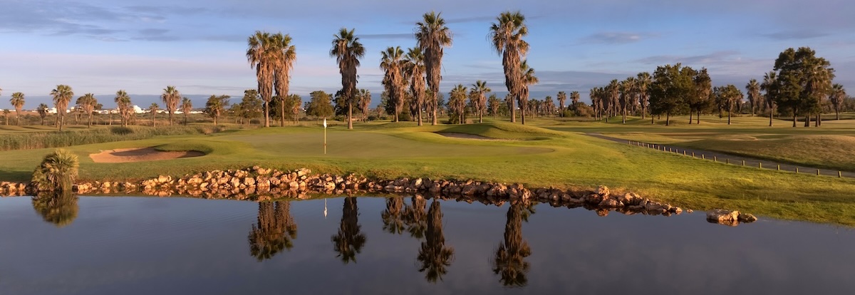 The 12th green on Salgados Golf is surrounded by water and tall palms