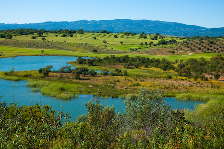 Alamos Golf Course